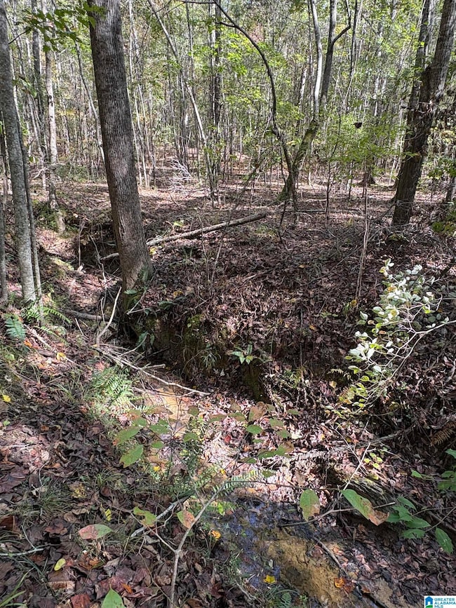 0 Bibb County 9 unit 21439274, West Blocton, AL 35184 - photo 2