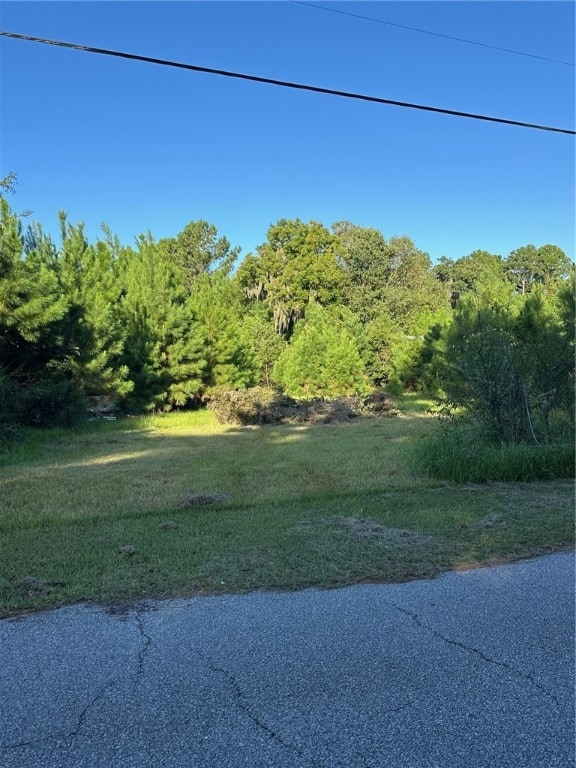 145 Knight Rd, Ellijay, GA 30540 - photo 3