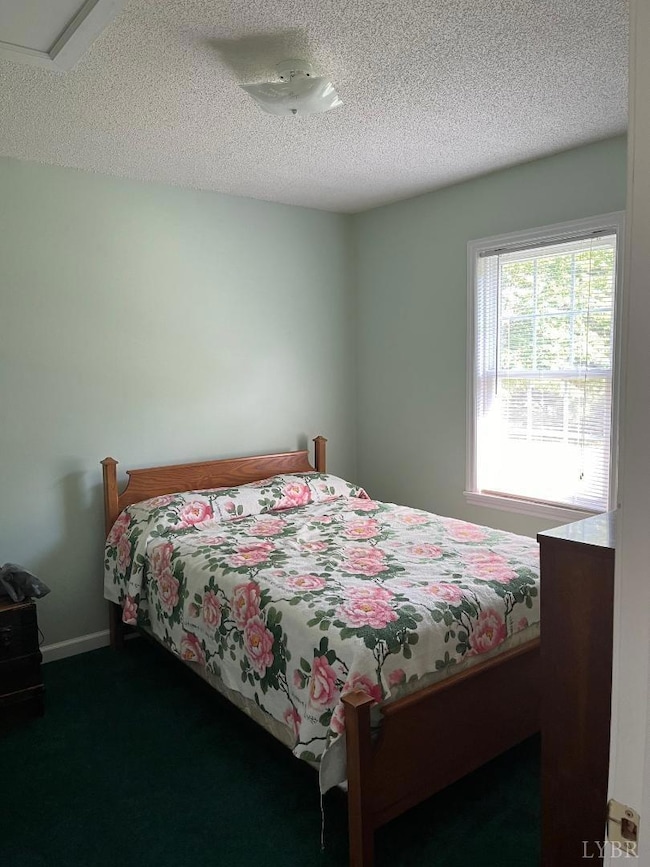 7084 Hunting Creek Rd, Nathalie, VA 24577 - photo 5