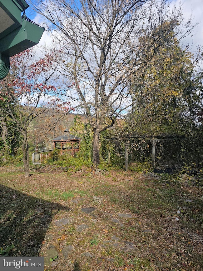 16301 Brice Hollow Rd SE, Cumberland, MD 21502 - photo 4
