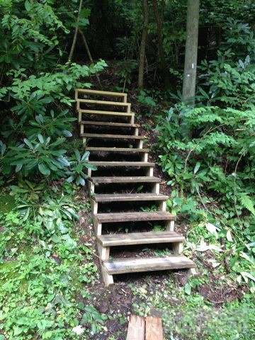 381 Valley Creek Ln, Banner Elk, NC 28604 - photo 5