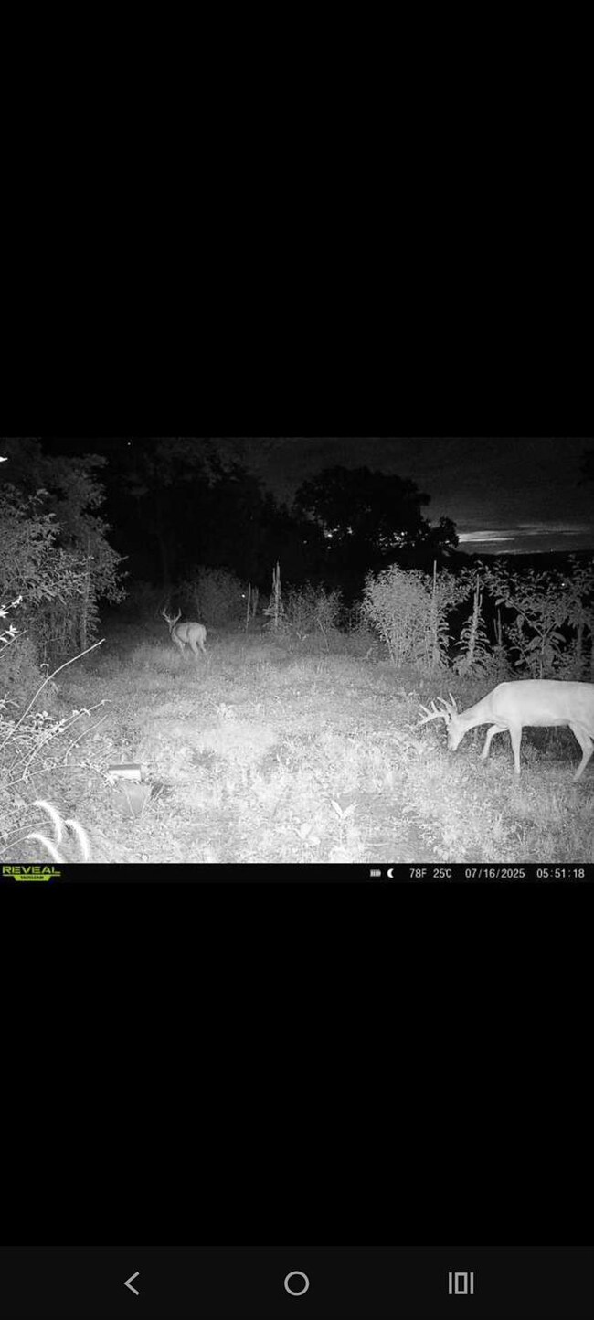 0 Markland Pike, Vevay, IN 47043 - photo 5