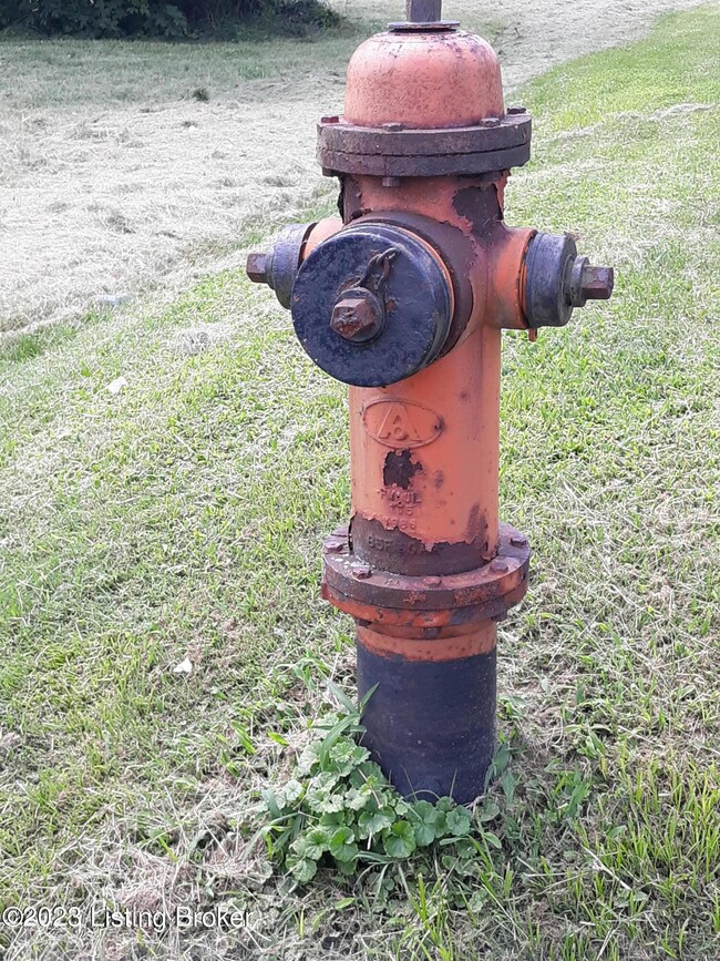 20210722_130136 (1)terry road