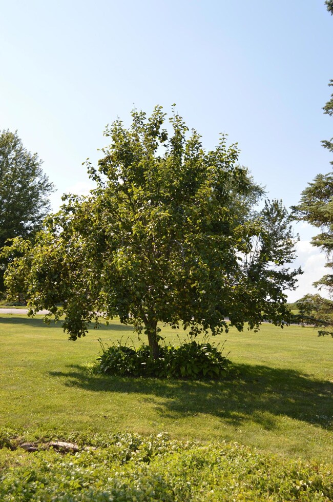 23404 Bolender Pontius Rd, Circleville, OH 43113 - photo 5