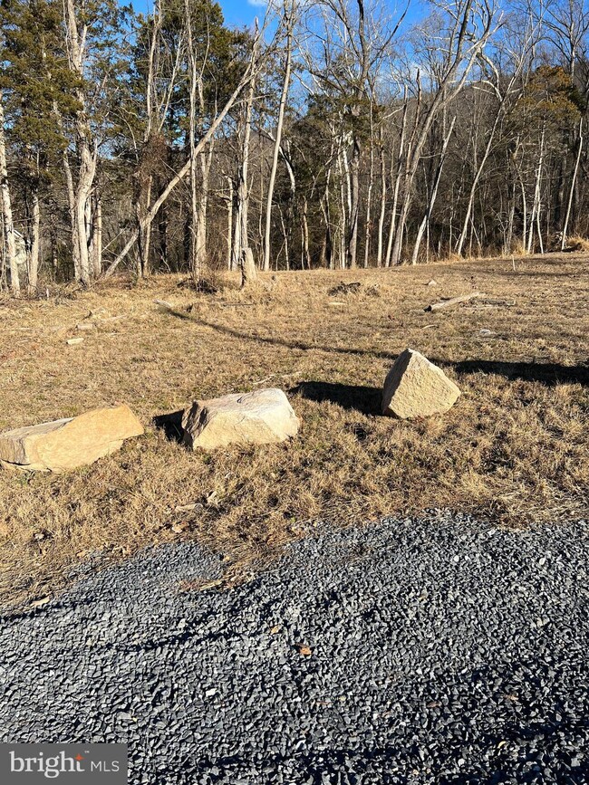 0 Deer Rapids Rd unit VASH2005258, Strasburg, VA 22657 - photo 5