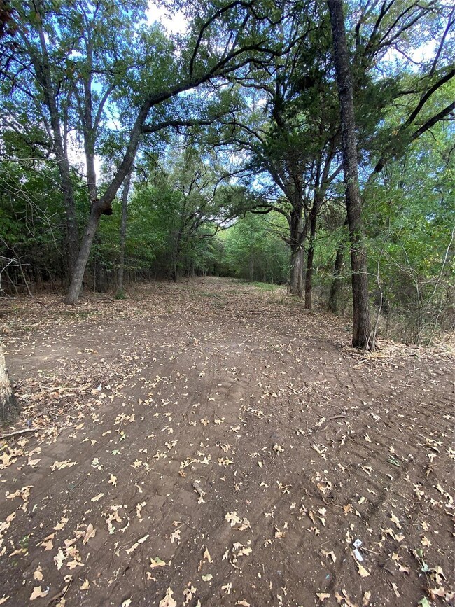 View of nature