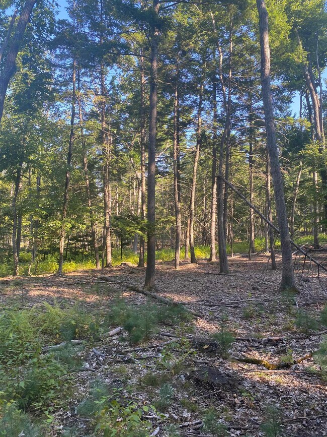 00 Dump Rd unit 20, Chester, NH 03036 - photo 2