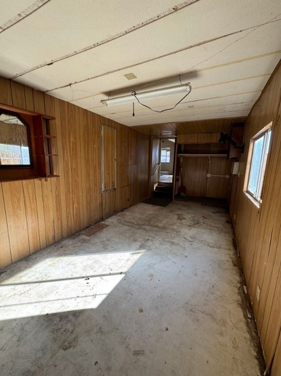 Basement with wood walls
