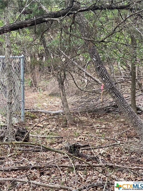 5303 Comanche Dr, Temple, TX 76502 - photo 4