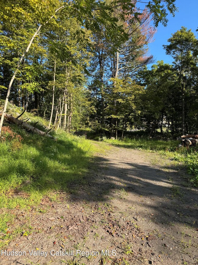 L2 High Rock Rd, West Coxsackie, NY 12192 - photo 5