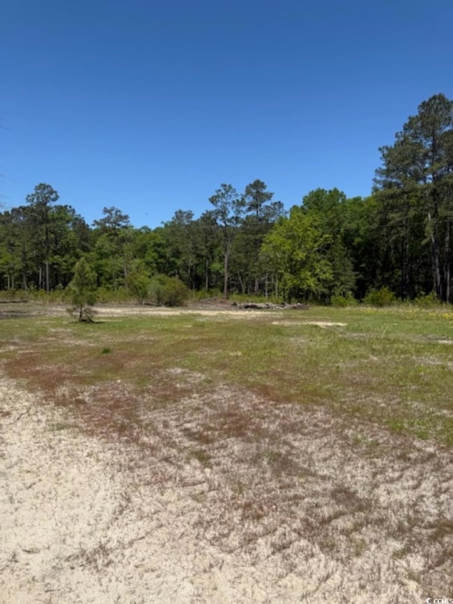 TBD Johnson Rd, Georgetown, SC 29440 - photo 2