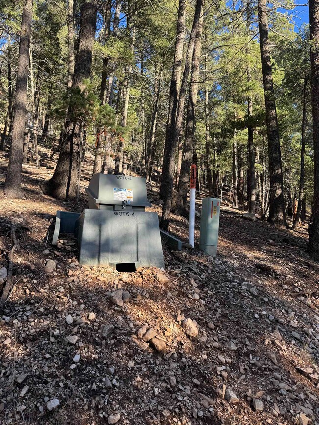 0 Forest View Rd unit 171893, Cloudcroft, NM 88317 - photo 5