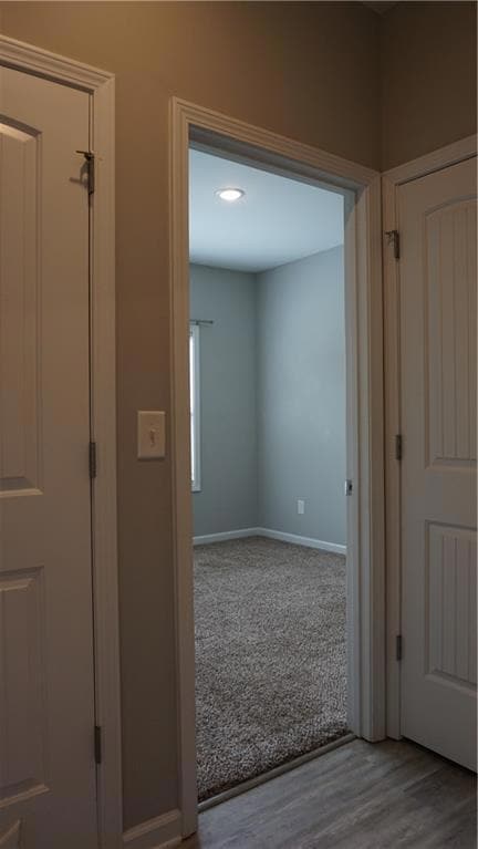 Hallway featuring wood finished floors and carpet flooring
