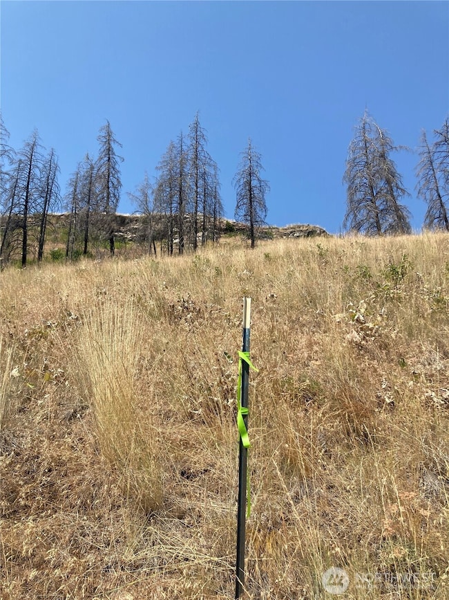 1111 Bottom Rd, Tonasket, WA 98855 - photo 4