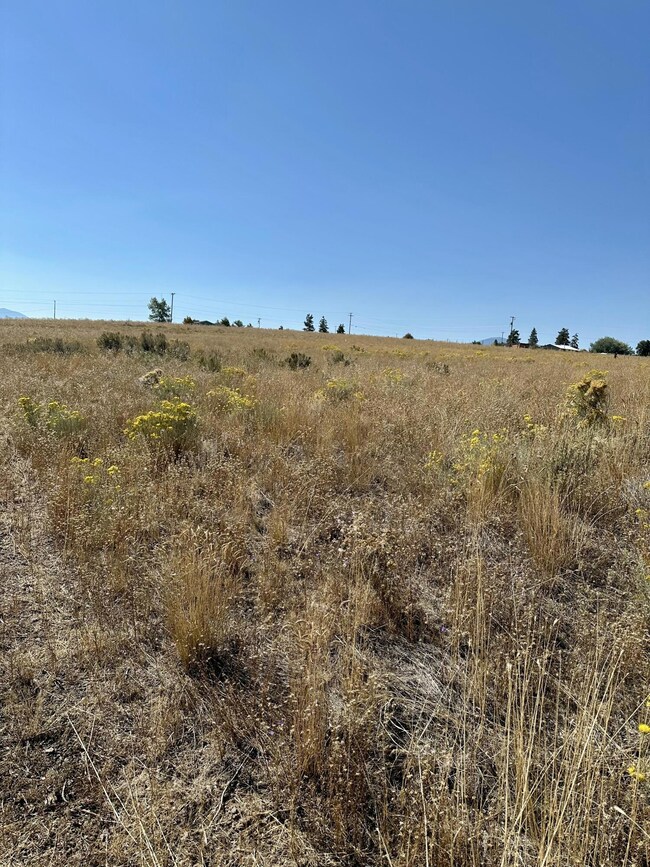 0 Newman Place unit 35, Oregon Shores, OR 97624 - photo 5