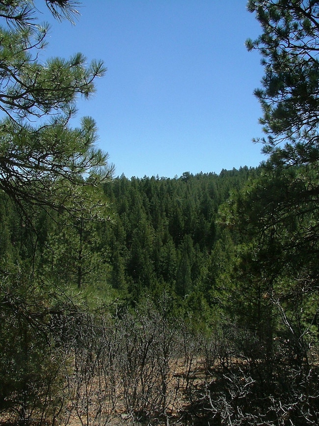 28 Puma Ct unit H13, Trinidad, CO - photo 4