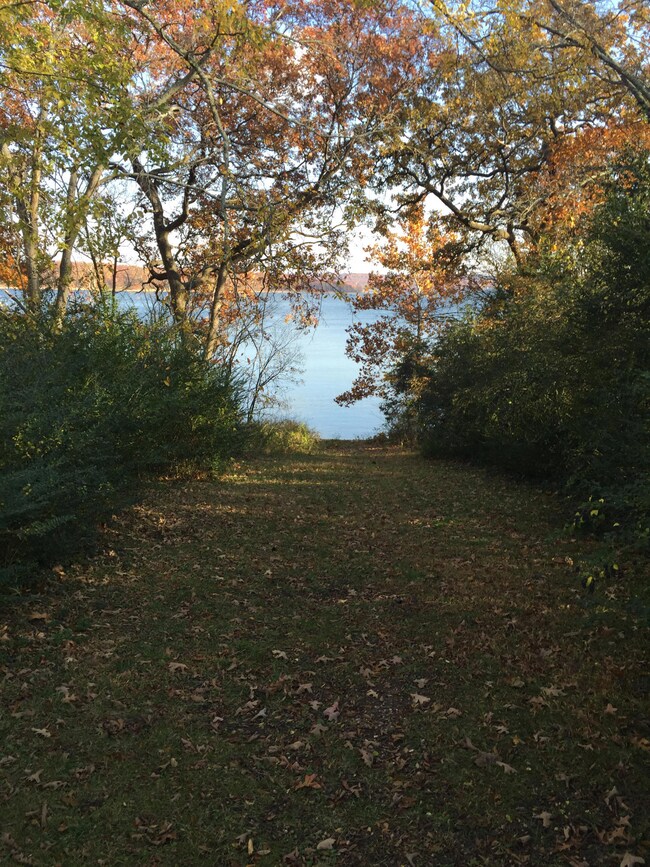 easy quick walk to swim-fish-play