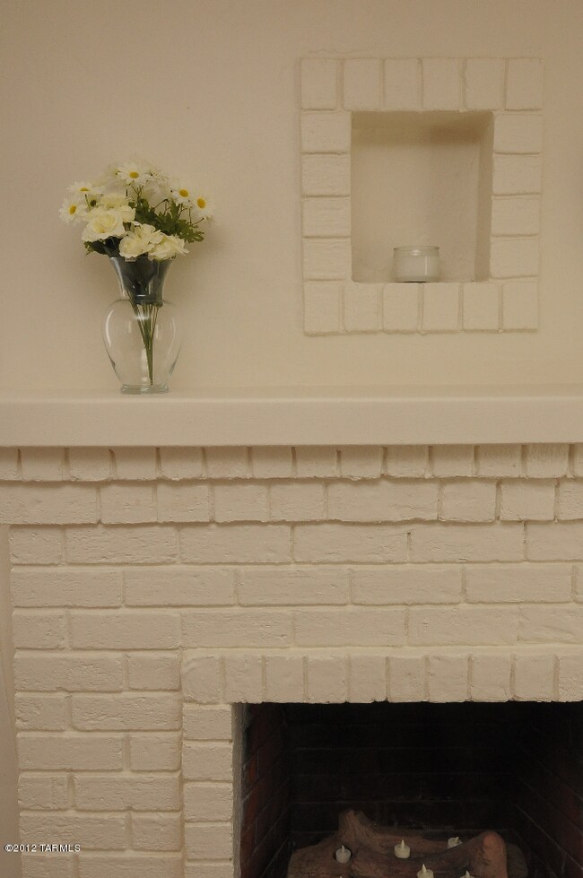 Living Room Fire Place