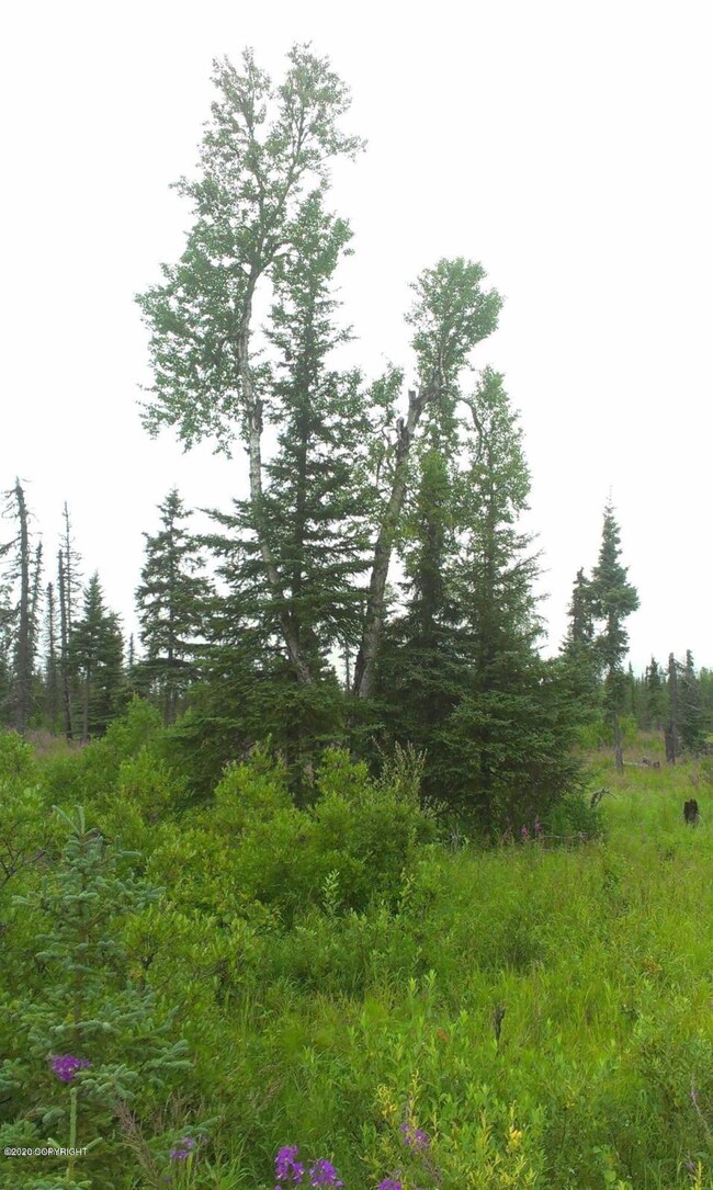 000 King Rd, Nikolaevsk, AK 99556 - photo 7