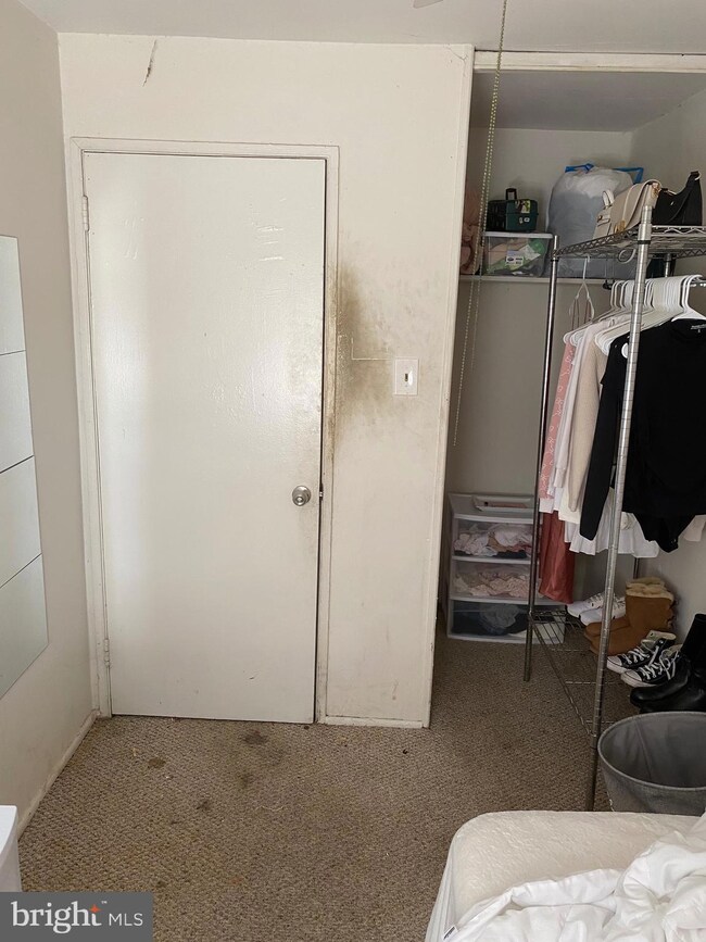 3029 Lorena Ave, Baltimore, MD 21230 - photo 5