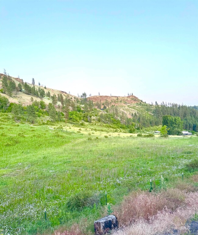TBD Lot #2 Beaverslide Rd, Kamiah, ID 83536 - photo 7