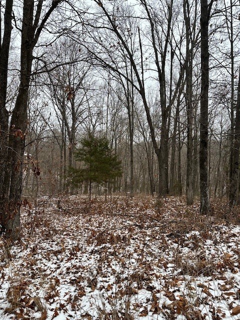 Lot 16 Saxilby Ln, Bella Vista, AR 72715 - photo 7