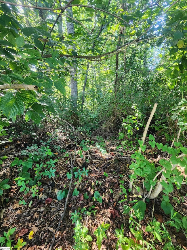 103 Quail Haven Dr unit 493 Odom Road, Easley, SC 29642 - photo 3