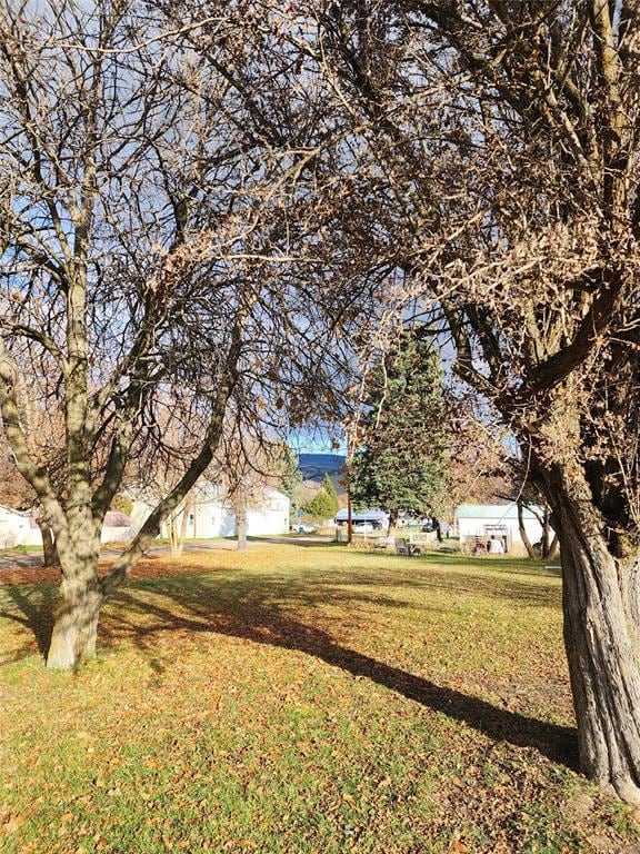 Nhn Third St, Plains, MT 59859 - photo 4