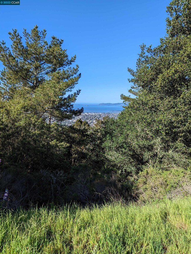 900 Panoramic Way, Berkeley, CA 94704 - photo 3