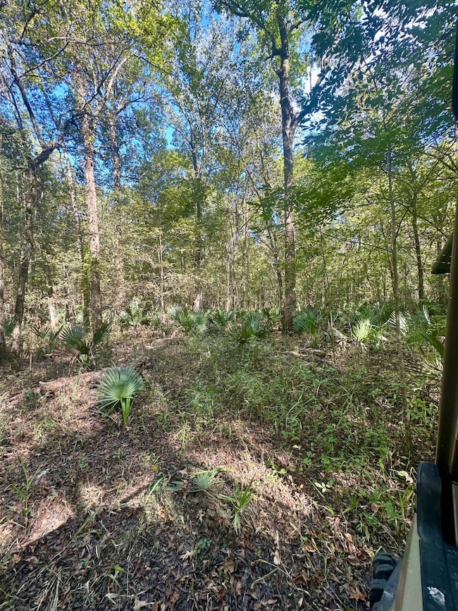 0 U S 80, Lowndesboro, AL 36752 - photo 3