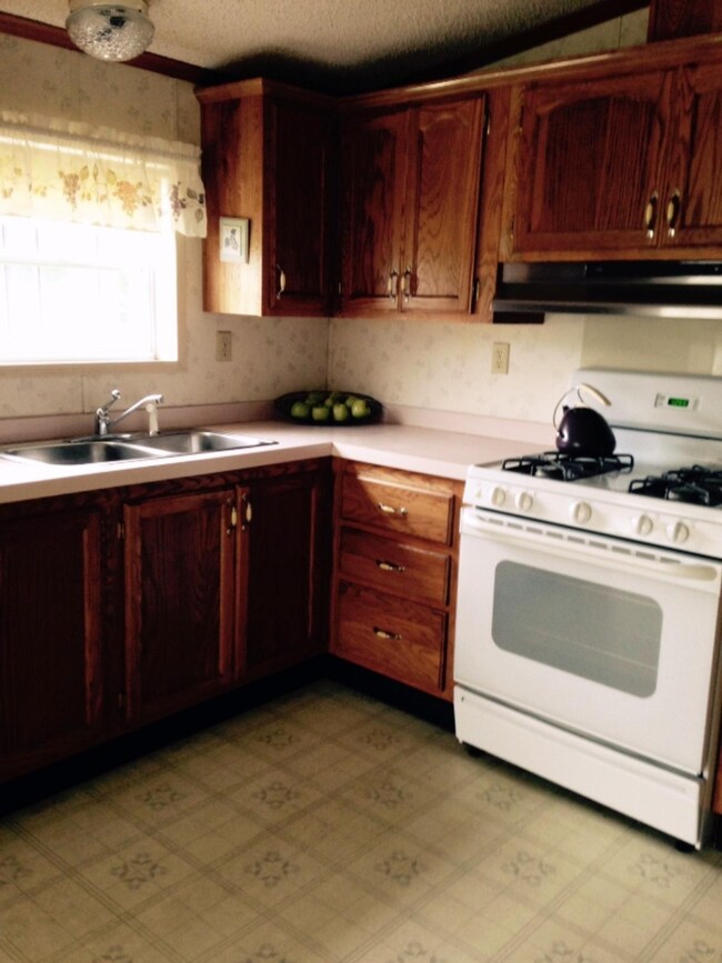 46081 Anthony St, Paw Paw, MI 49079 - photo 3