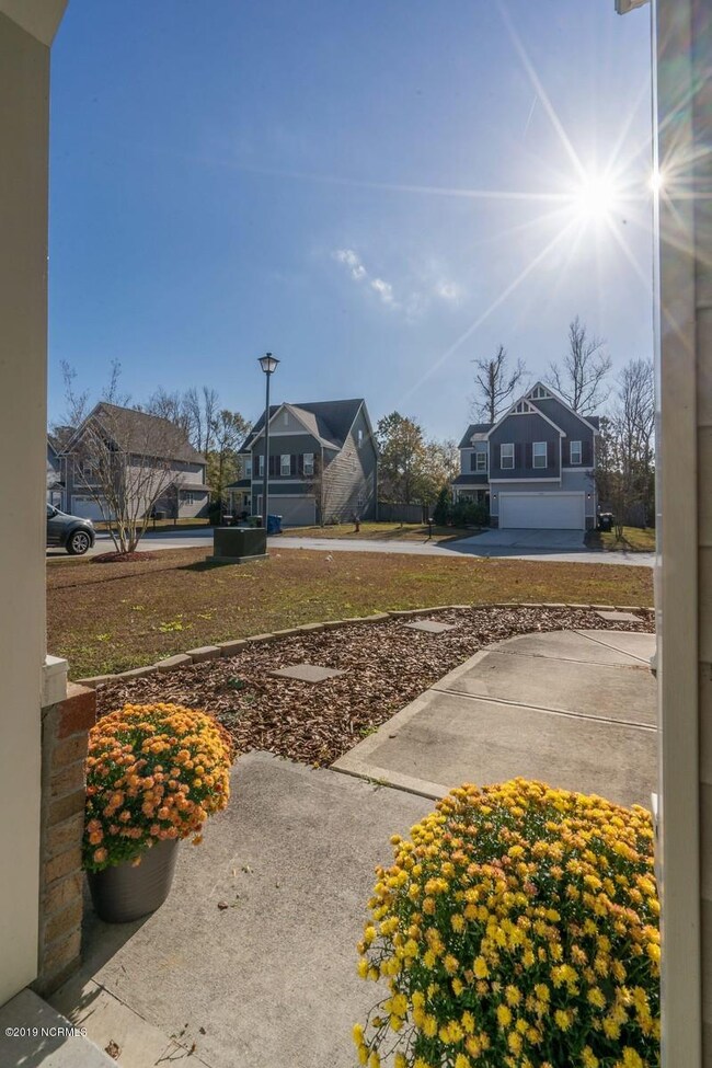 05_426BaldCypressLn5_mls