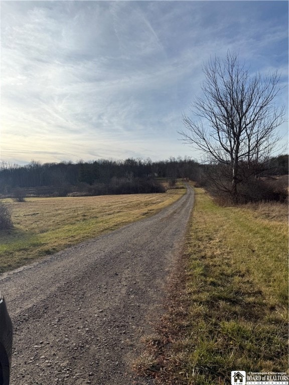 6982 Curriers Rd, Arcade, NY 14009 - photo 2