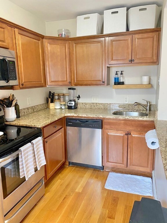 1 Grace Ct unit 1, Boston, MA 02127 - photo 3