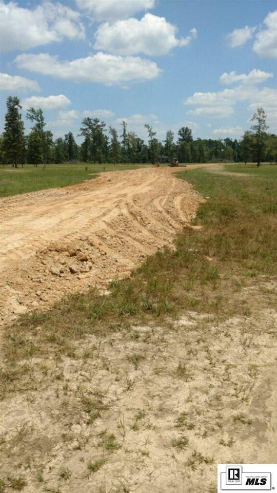 0 Louisiana 139 unit Tract 1, Monroe, LA 71203 - photo 4