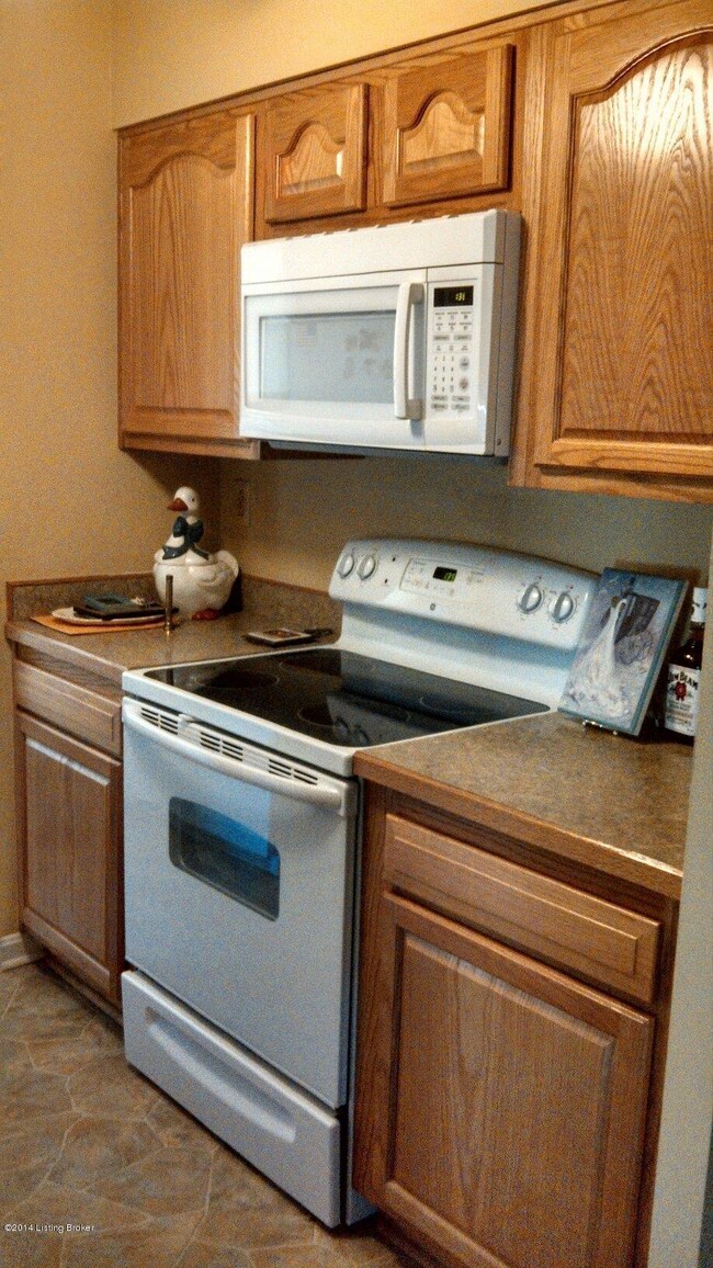 9113 Brandywyne Dr, Louisville, KY 40291 - photo 4