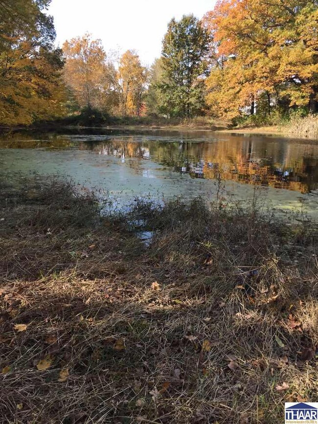 0000 S Hutchinson St, Pierson Township, IN 47802 - photo 5