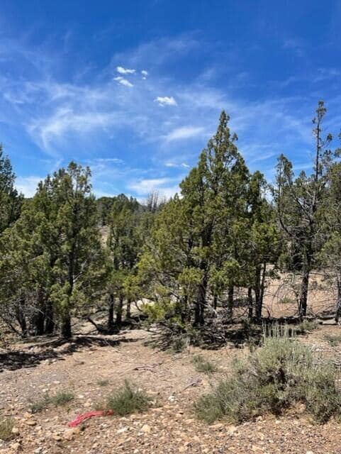 Lot 32 Cree Way unit Block A Long Valley, Duck Creek, UT 84762 - photo 3