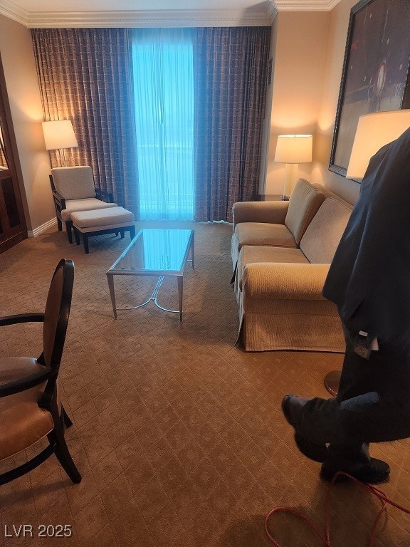 Carpeted living area featuring ornamental molding