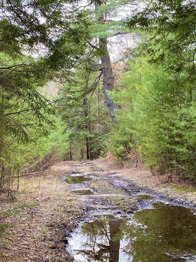 0 Raisig Rd unit 202121066, Corinth, NY 12822 - photo 2