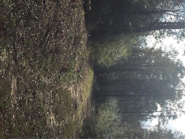 24375 Pope Rd, Franklinton, LA 70438 - photo 4