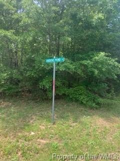 Corner with Vaidens Pond Rd
