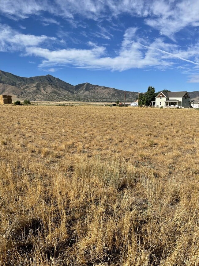 Scipio Lot 1 5