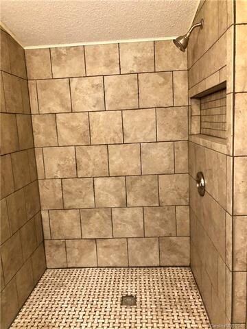 Master bath shower.
