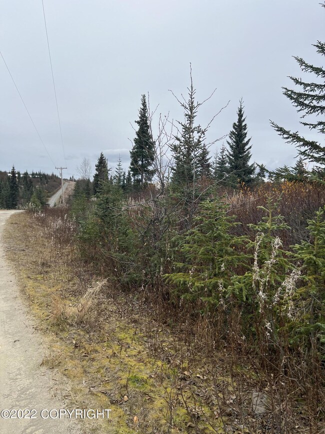 32814 Stacey Ln, Anchor Point, AK 99556 - photo 6