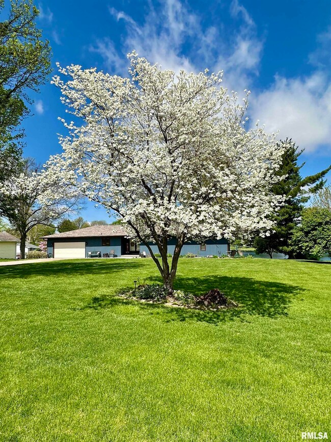 201 Leland Lake Dr, Jacksonville, IL 62650 - photo 3