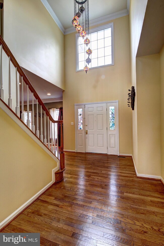 42654 Nations St, Chantilly, VA 20152 - photo 3