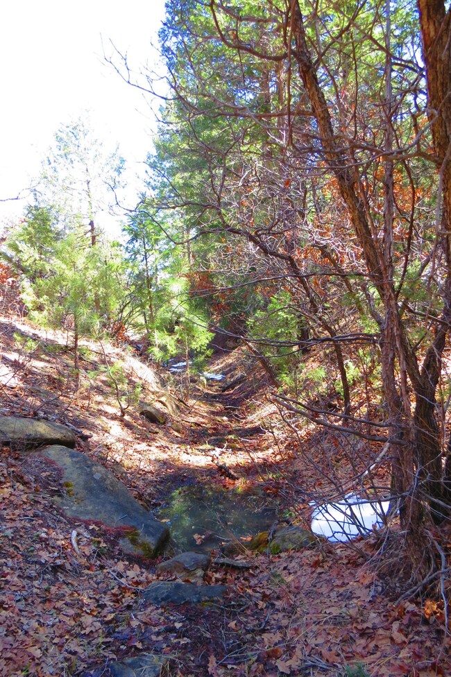0 Chipmunk Dr unit B46 17-366, Trinidad, CO 81082 - photo 7