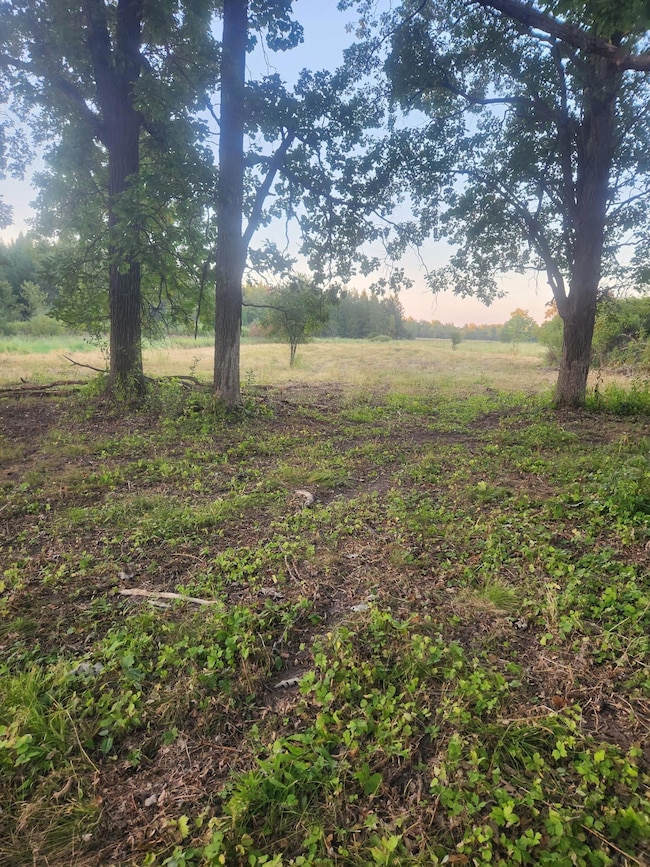 TBD 401st Ave NW, Dalbo Township, MN 55017 - photo 2