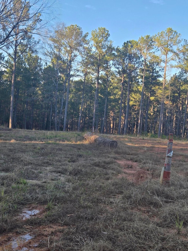 0 Pineridge Dr, Lincolnton, GA 30817 - photo 3